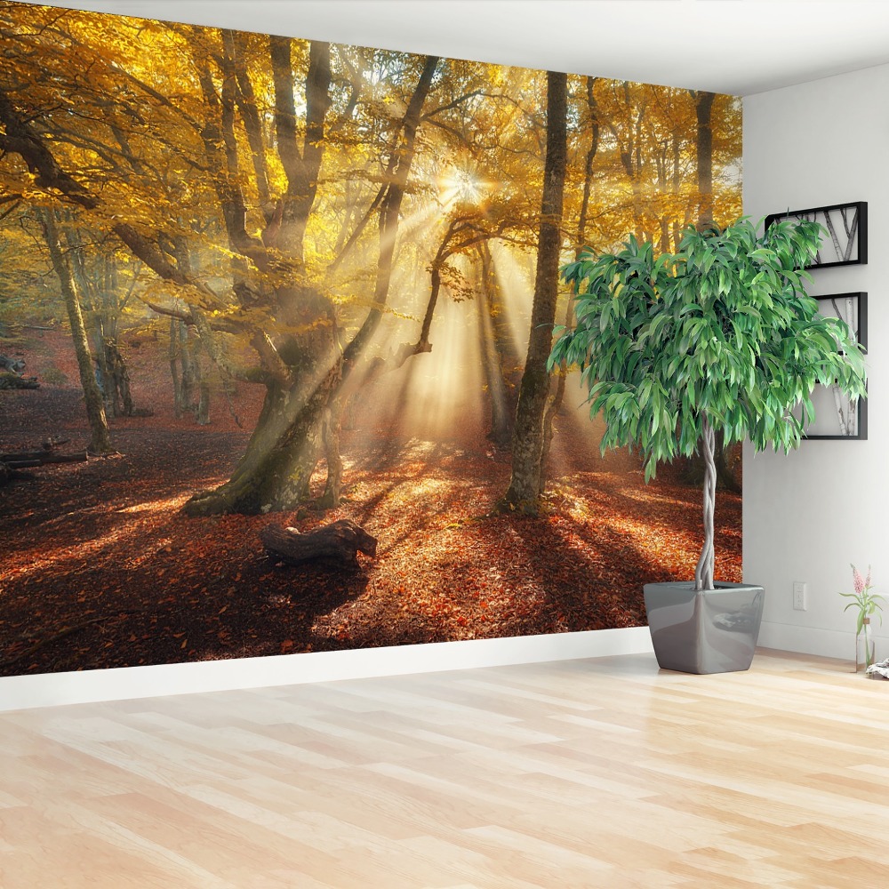 Fototapet Magic Forest