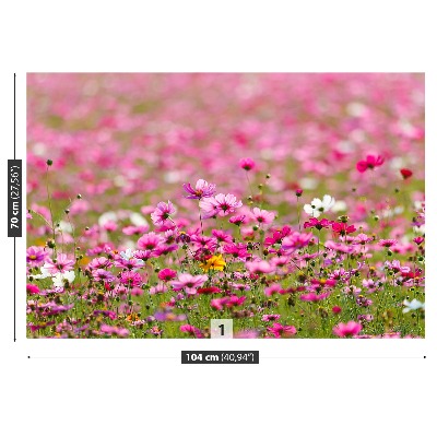 Fototapet Cosmos Flori