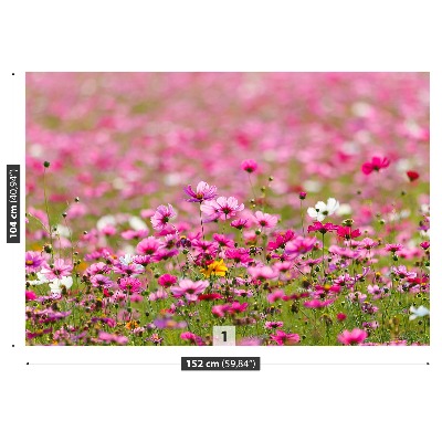 Fototapet Cosmos Flori