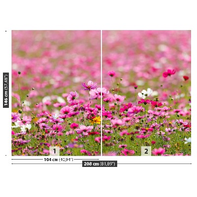 Fototapet Cosmos Flori