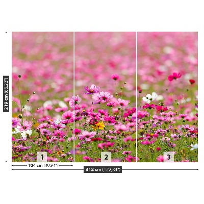 Fototapet Cosmos Flori