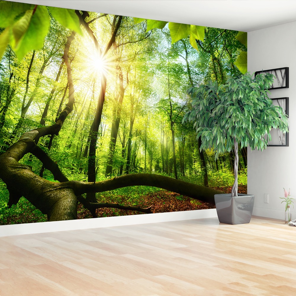 Fototapet fag Forest