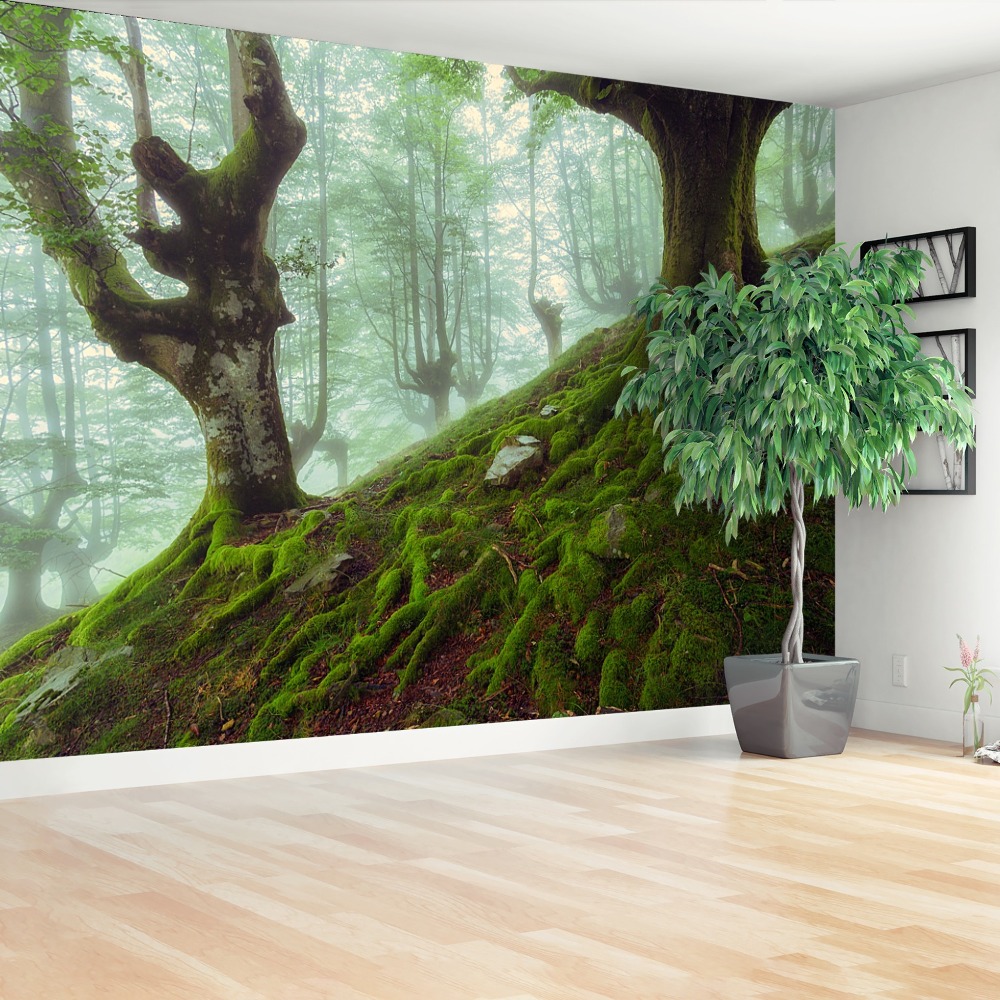 Fototapet fag Forest
