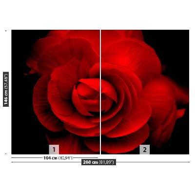 Fototapet Trandafir roșu