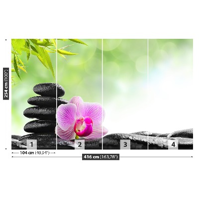 Fototapet Orchid Stones