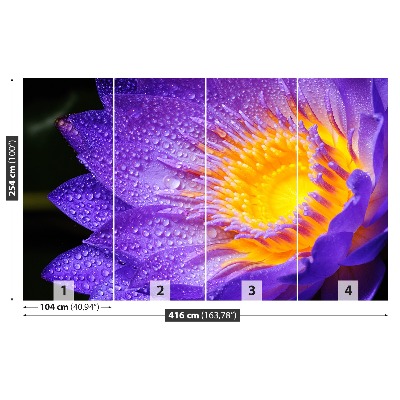 Fototapet Purple Lotus