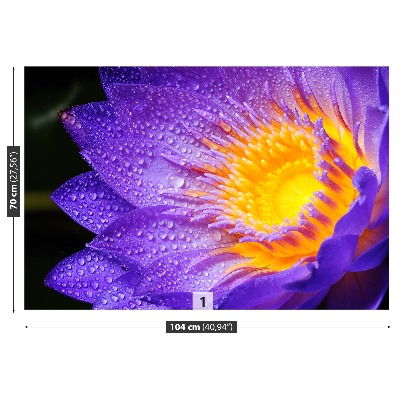 Fototapet Purple Lotus