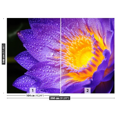 Fototapet Purple Lotus