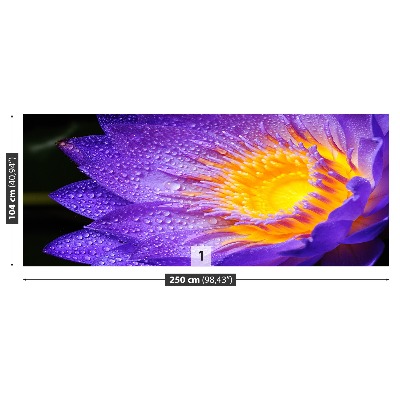 Fototapet Purple Lotus