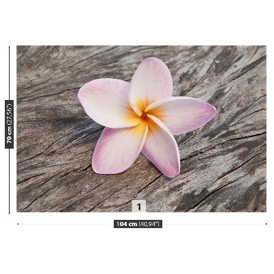 Fototapet frangipani din lemn