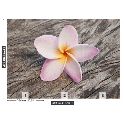 Fototapet frangipani din lemn