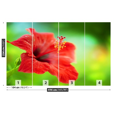 Fototapet Hibiscus roşu