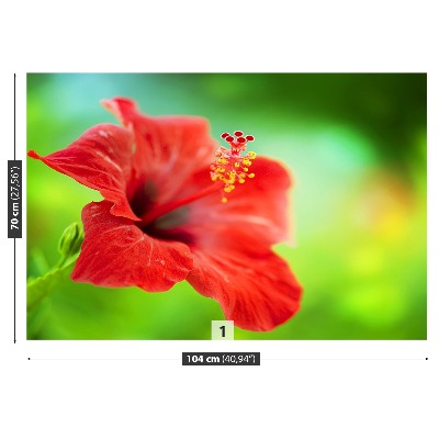 Fototapet Hibiscus roşu