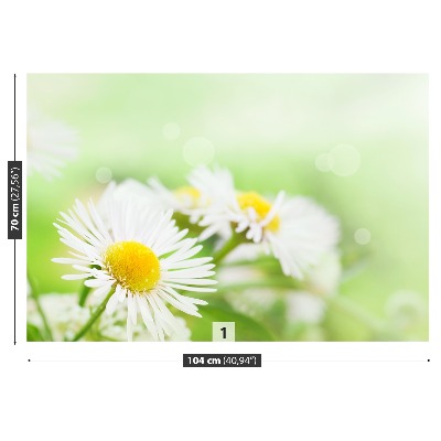 Fototapet Green Daisy