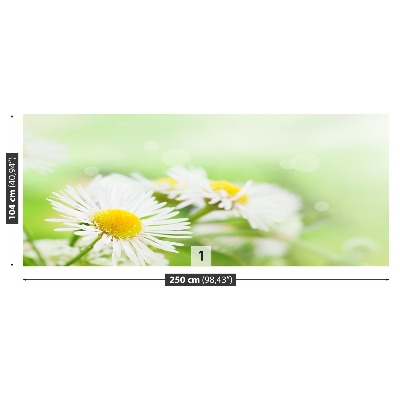 Fototapet Green Daisy