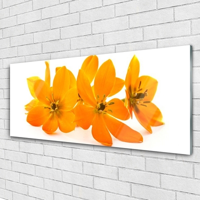 Tablouri acrilice Flori Floral Orange