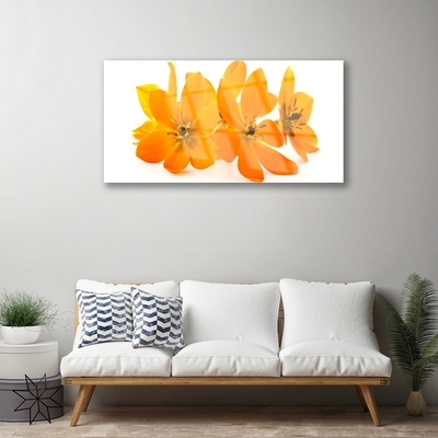 Tablouri acrilice Flori Floral Orange