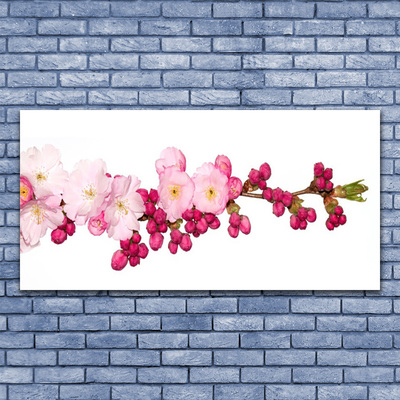 Tablouri acrilice Flower Branch Floral roz