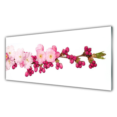 Tablouri acrilice Flower Branch Floral roz