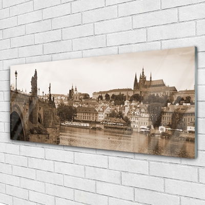 Tablouri acrilice Praga Podul Peisaj Sepia