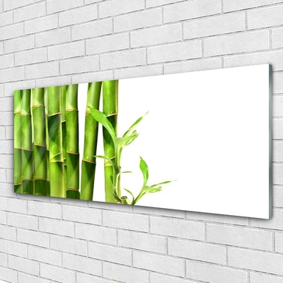 Tablouri acrilice Bamboo Floral Verde Alb