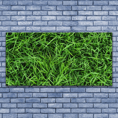 Tablouri acrilice Iarbă Lawn Floral Verde