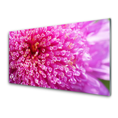 Tablouri acrilice Florale flori roz
