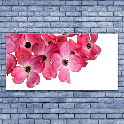 Tablouri acrilice Flori Floral Roz Alb