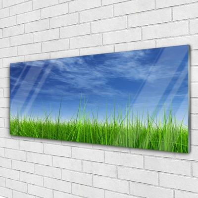 Tablouri acrilice Sky Grass Nature Albastru Verde