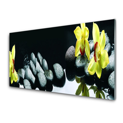 Tablouri acrilice Pietrele florale flori galben negru