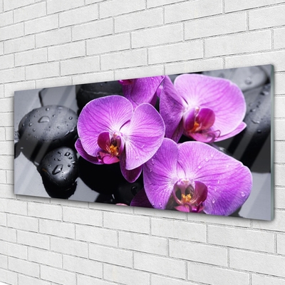 Tablouri acrilice Pietre florale flori violet negru