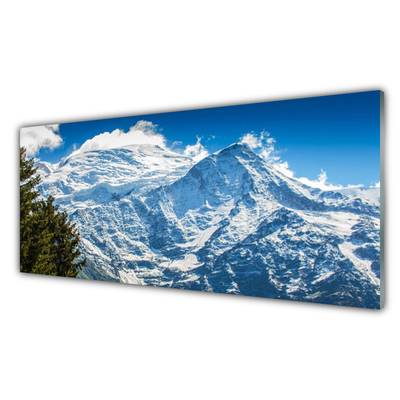 Tablouri acrilice Peisaj de munte copac Albastru Alb Verde