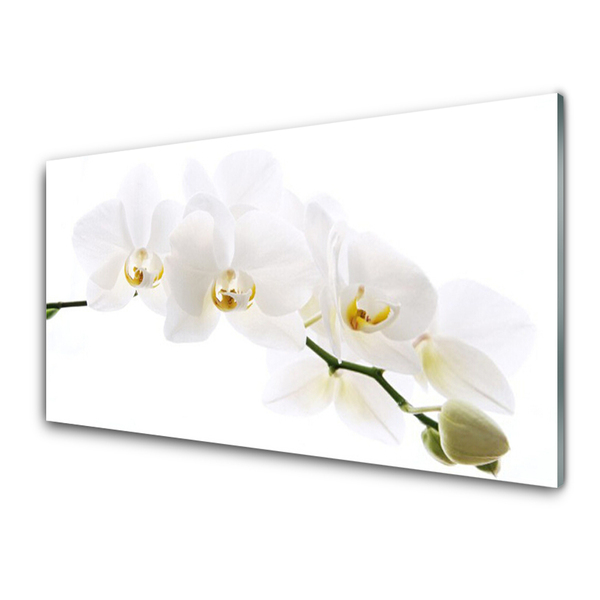 Tablouri acrilice Flori Floral alb