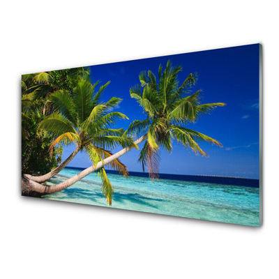 Tablouri acrilice Palm Tree Sea Peisaj Verde Albastru Maro