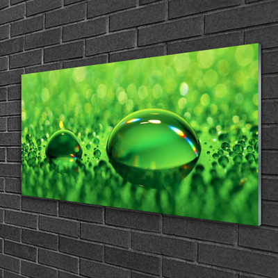 Tablouri acrilice Waterdrop Art Green