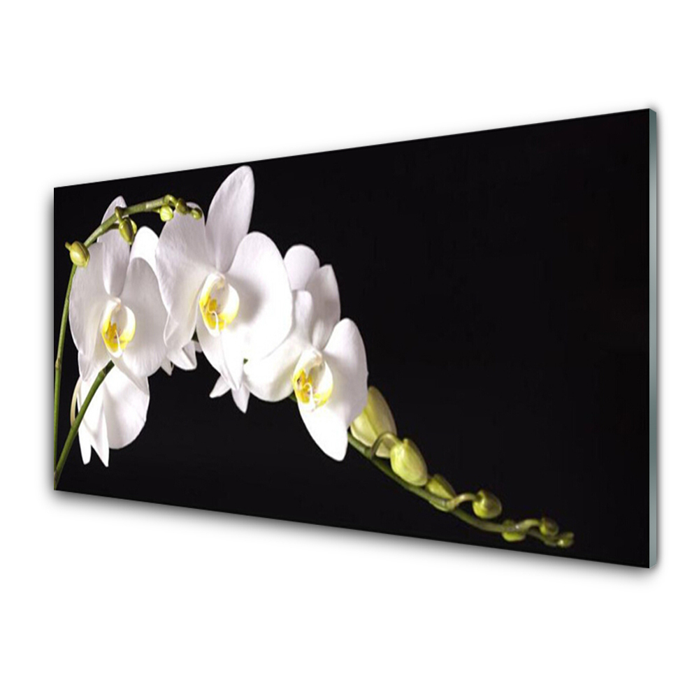 Tablou pe sticla acrilica Flori Floral alb