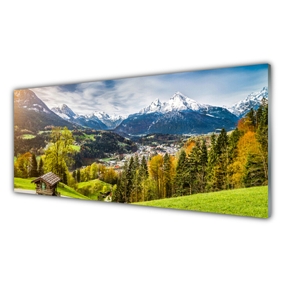 Tablouri acrilice Alpi Peisaj Verde Albastru