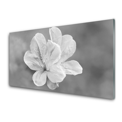 Tablouri acrilice Flori Floral Alb Gri