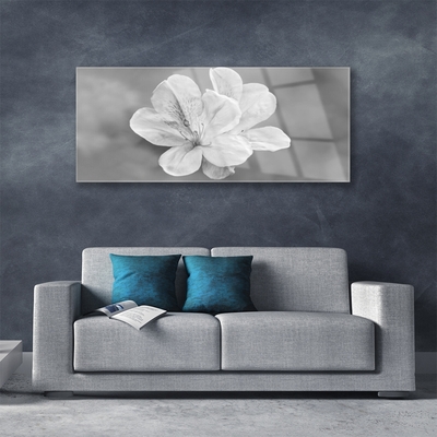 Tablouri acrilice Flori Floral Alb Gri