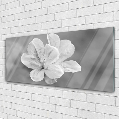Tablouri acrilice Flori Floral Alb Gri