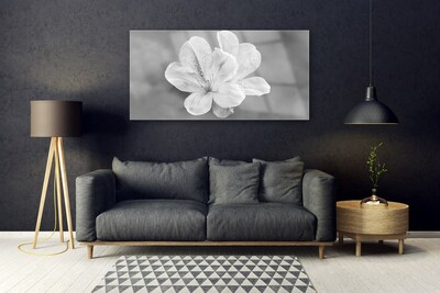 Tablouri acrilice Flori Floral Alb Gri