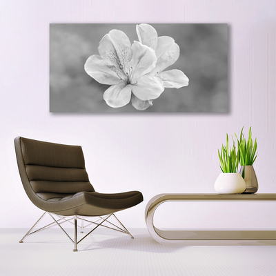 Tablouri acrilice Flori Floral Alb Gri