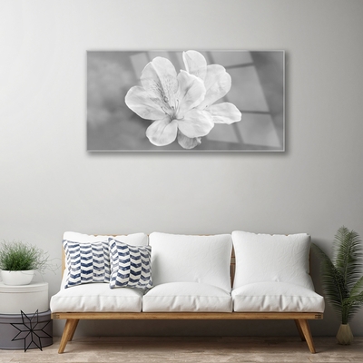 Tablouri acrilice Flori Floral Alb Gri