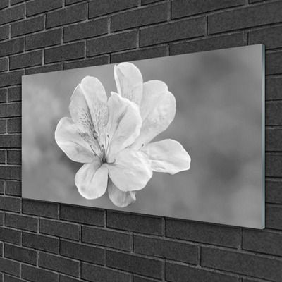 Tablouri acrilice Flori Floral Alb Gri