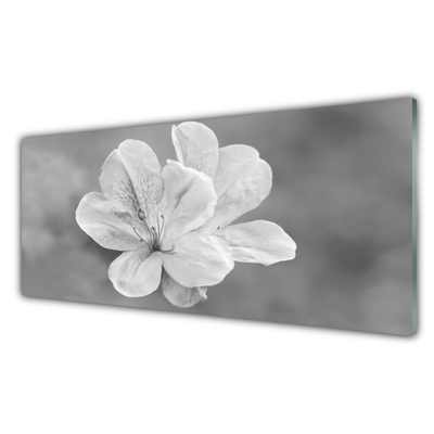 Tablouri acrilice Flori Floral Alb Gri