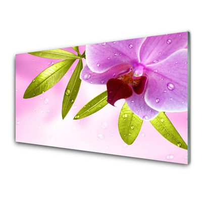Tablouri acrilice Frunze florale flori roz verde