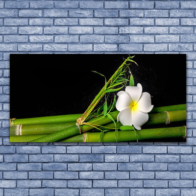 Tablouri acrilice Bamboo flori Floral Alb Verde