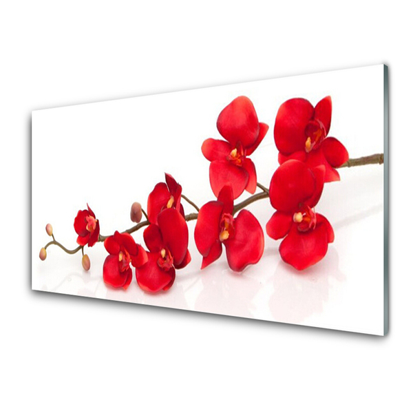 Tablouri acrilice Flori Floral Roșu