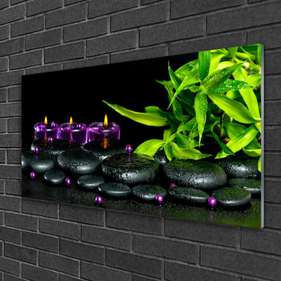 Tablouri acrilice Lumanarea Pietre Frunze Arta Negru Verde Violet