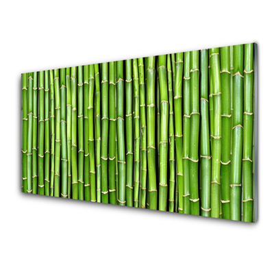 Tablouri acrilice Bamboo Floral Verde